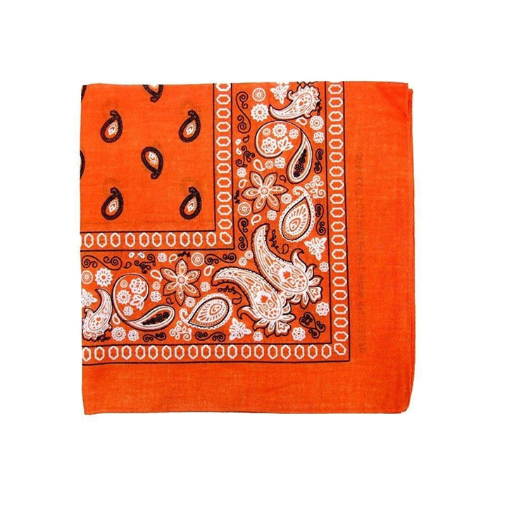 Unibasic Paisley Cotton Bandana XL 10 Pack Head Wrap Handkerchief Novelty Image 10