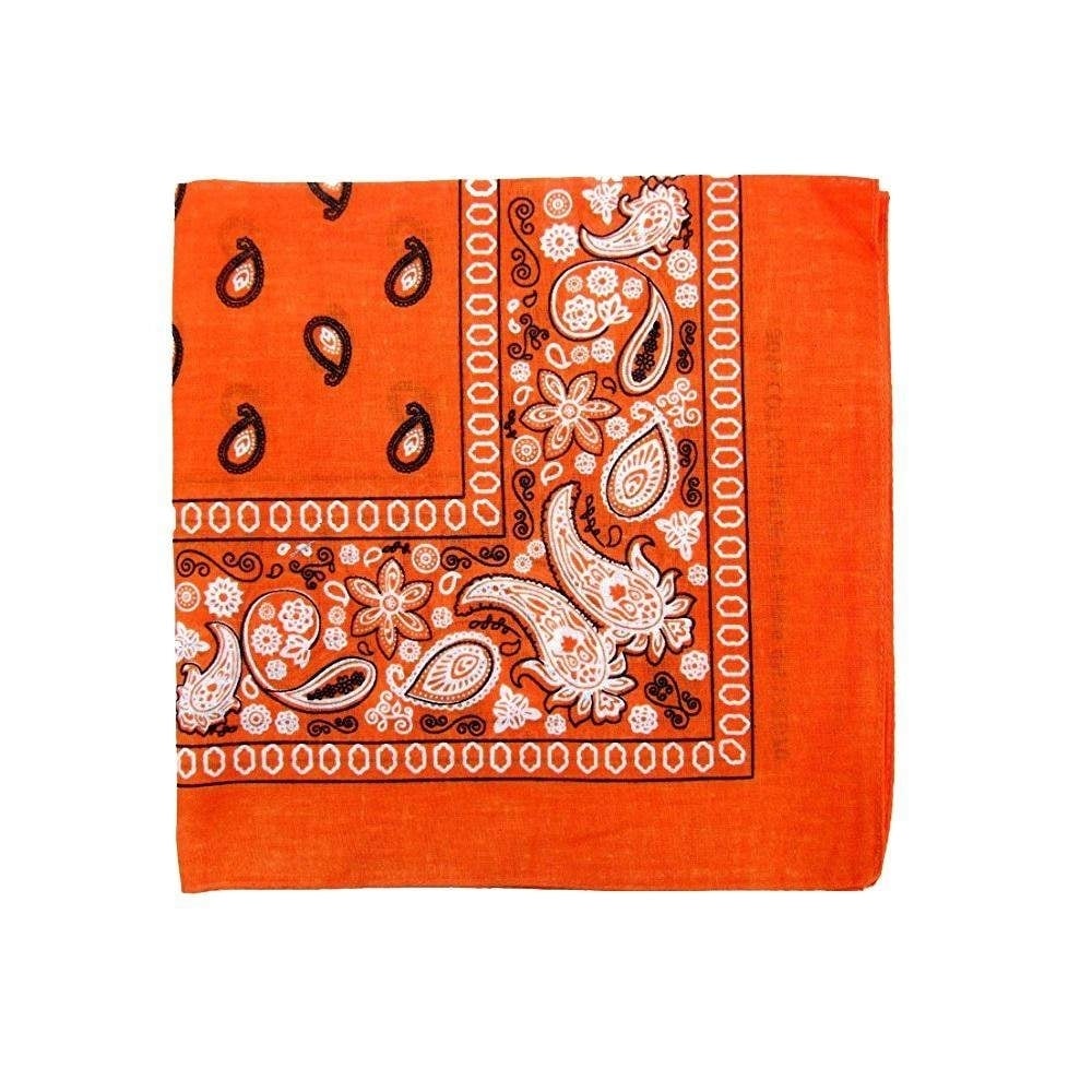 Unibasic Paisley Cotton Bandana XL 10 Pack Head Wrap Handkerchief Novelty Image 1