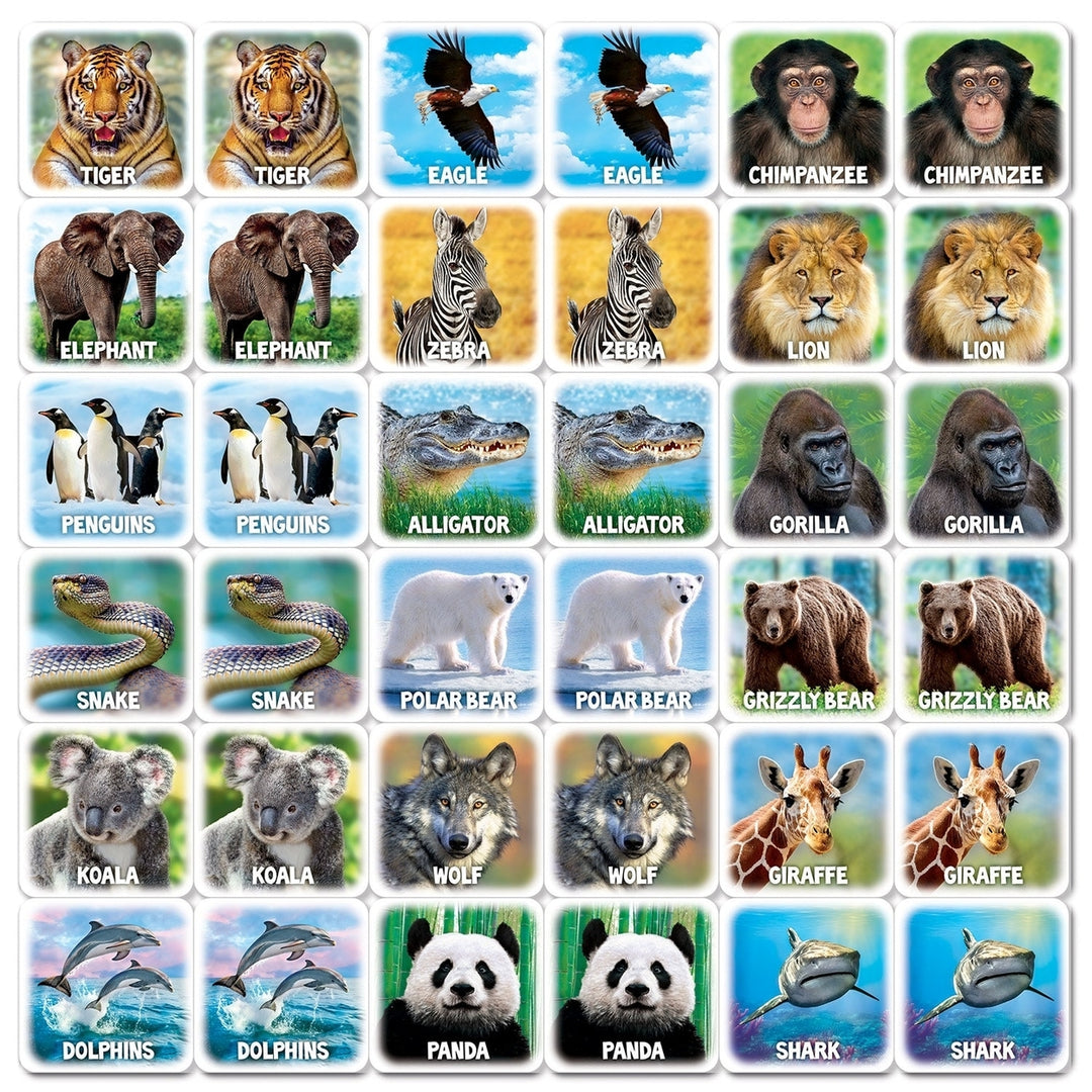 World of Animals Matching Game 36 Cards Family Fun Ages 3 and Up Educational Game Image 4