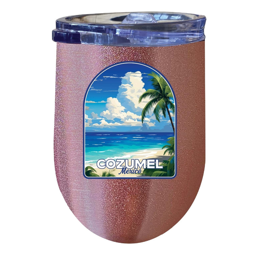 Cozumel Mexico Design C Souvenir 12 oz Insulated Wine Stainless Steel Tumbler Image 1
