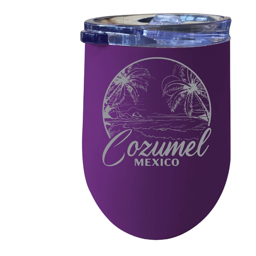 Cozumel Mexico Souvenir 12 oz Engraved Insulated Wine Stainless Steel Tumbler Image 7