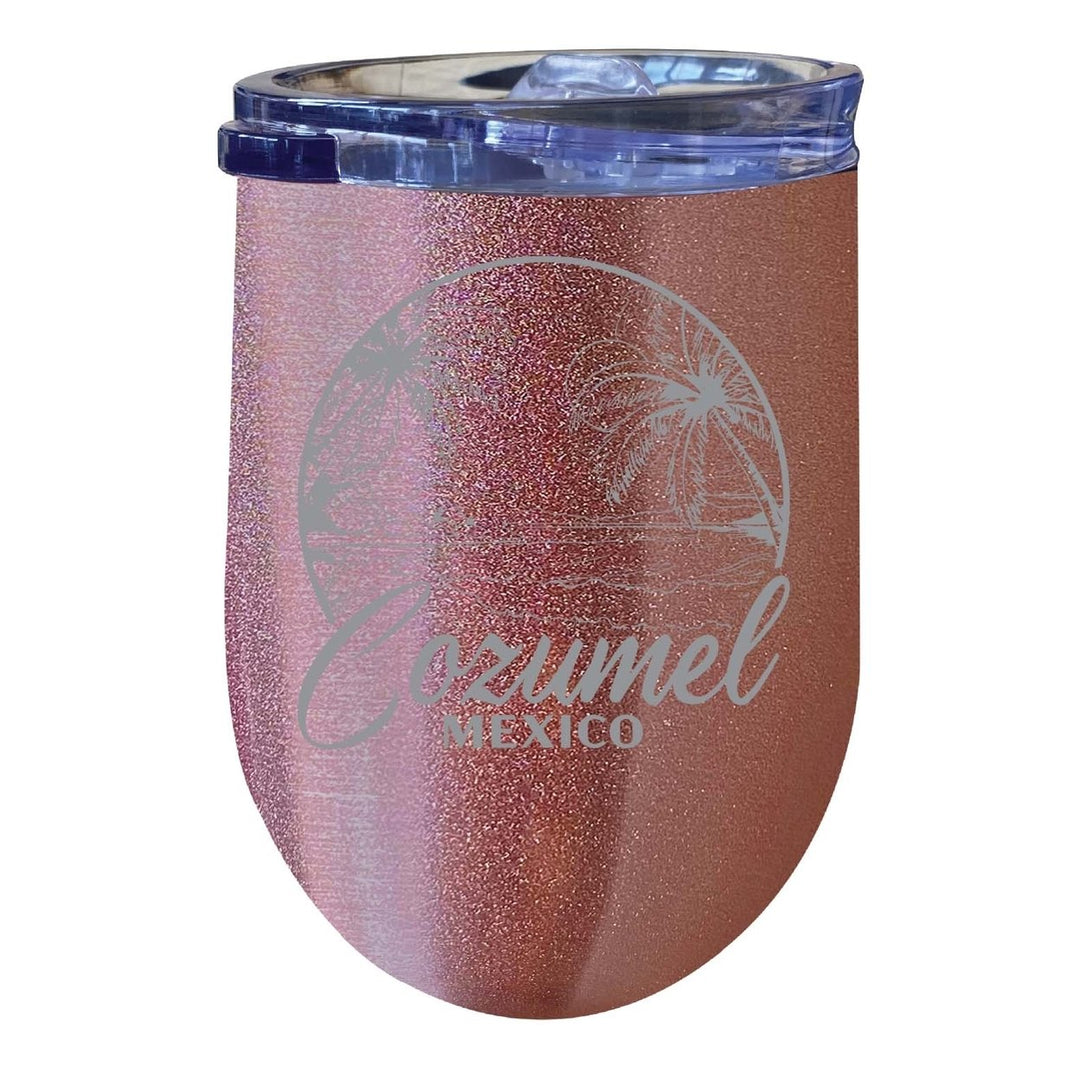 Cozumel Mexico Souvenir 12 oz Engraved Insulated Wine Stainless Steel Tumbler Image 1