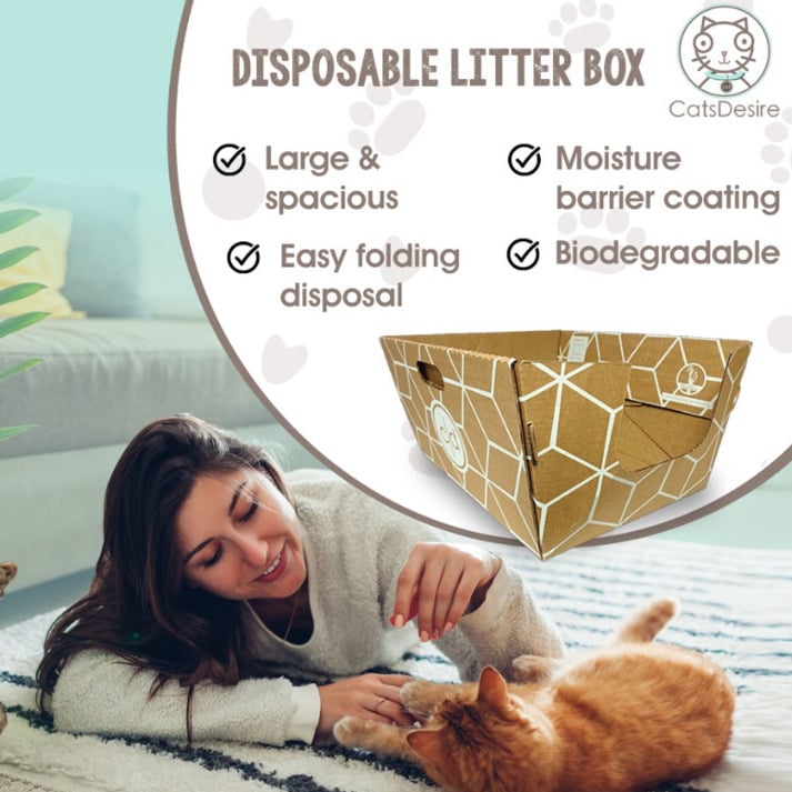 Cats Desire Biodegradable Disposable Litter Boxes 10 Pack Extra Large Image 1