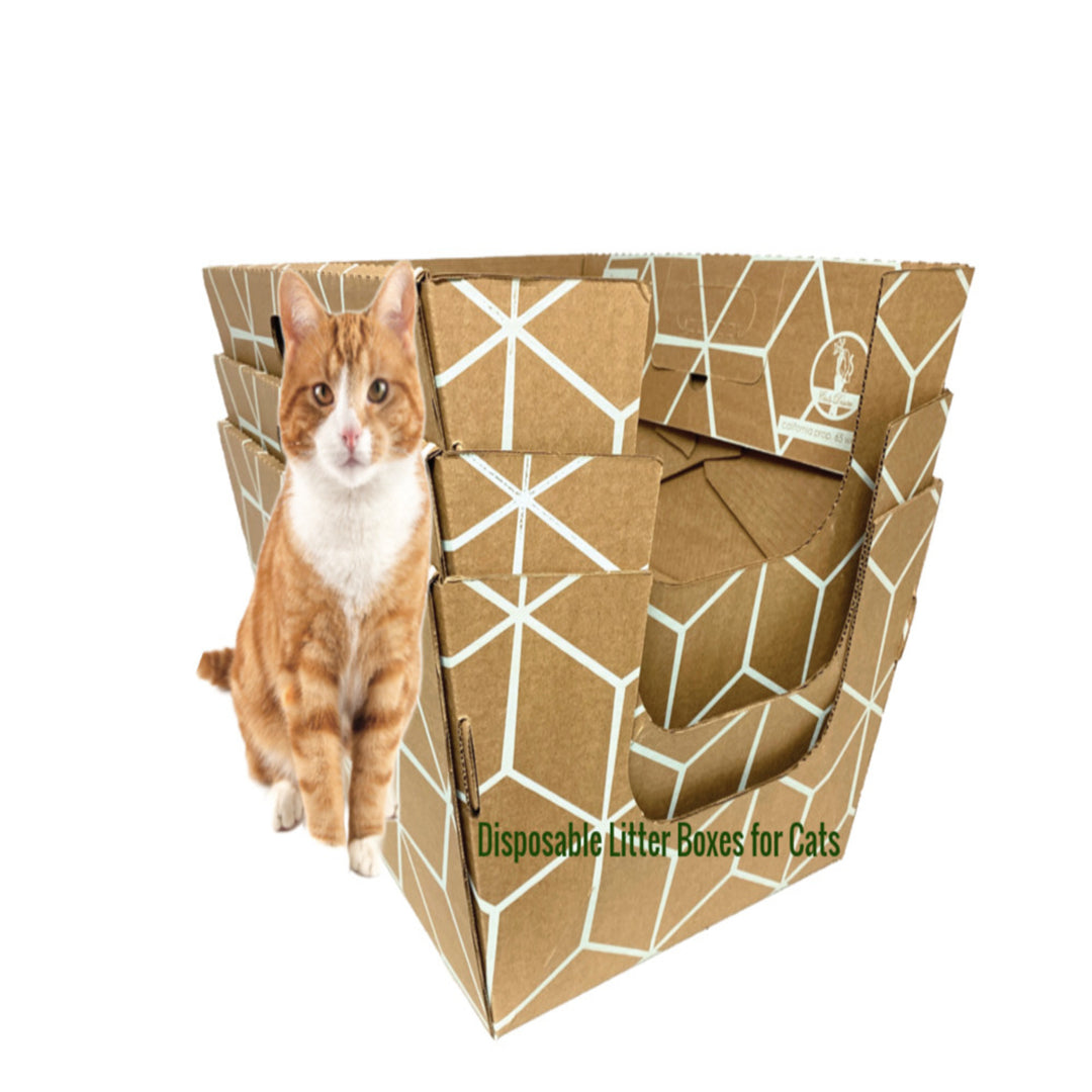 Cats Desire Biodegradable Disposable Litter Boxes Extra Large 3 Pack USA Made Image 1