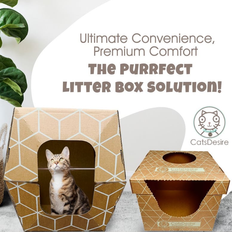 Cats Desire Disposable Biodegradable Top-Side Entry Litter Boxes Image 10