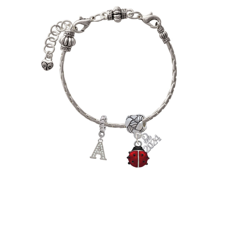 Delight Jewelry Silvertone Mini Enamel Translucent Ladybug Woven Rope Charm Bead Dangle with Year 2024 Image 3