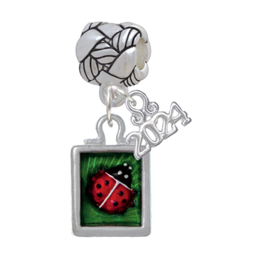 Delight Jewelry Silvertone Red Ladybug in Shadow Box Woven Rope Charm Bead Dangle with Year 2024 Image 1