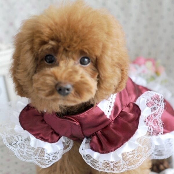 Lovely Dog Dress Puppy Wedding Dress Formal Dress Doggy Skirt Dog Clothes DTTT Image 6