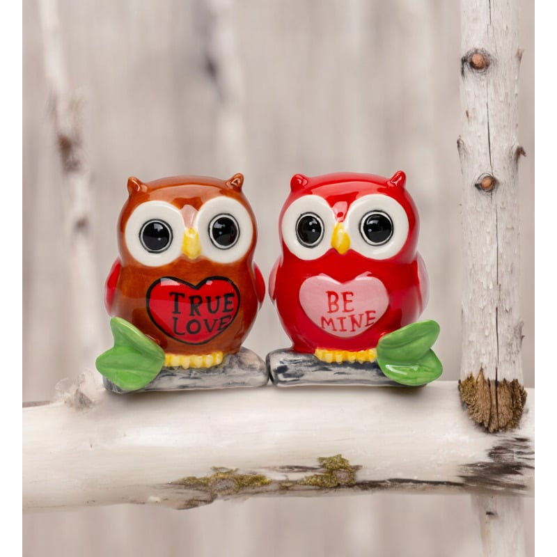 Ceramic Valentine Owl Salt and Pepper Shakers 2.25in Image 1