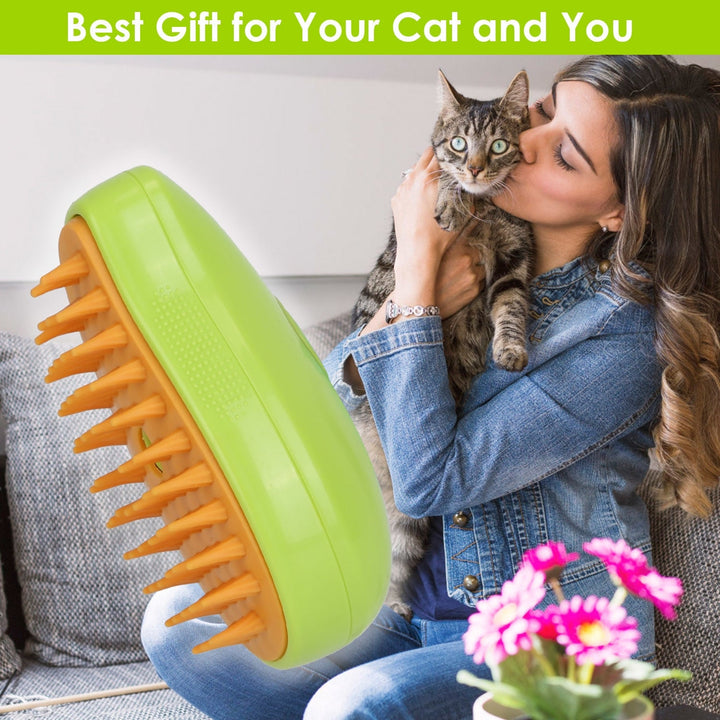 3 In 1 Cat Grooming Steam Brush Hair Brush with Steamer Pet Massage Comb Cleaning Brush for Cats Dogs USB Rechargeable Image 7