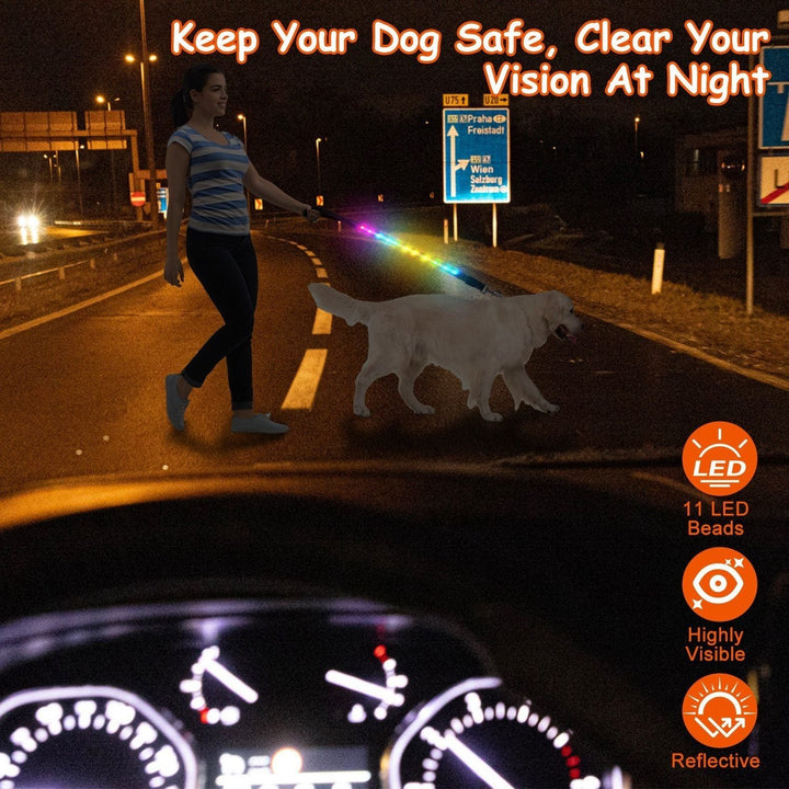 5FT Light Up Dog Leash LED Dog Leash Dog Walking Leash with 9 Light Colors IPX7 Waterproof USB Rechargeable Image 3