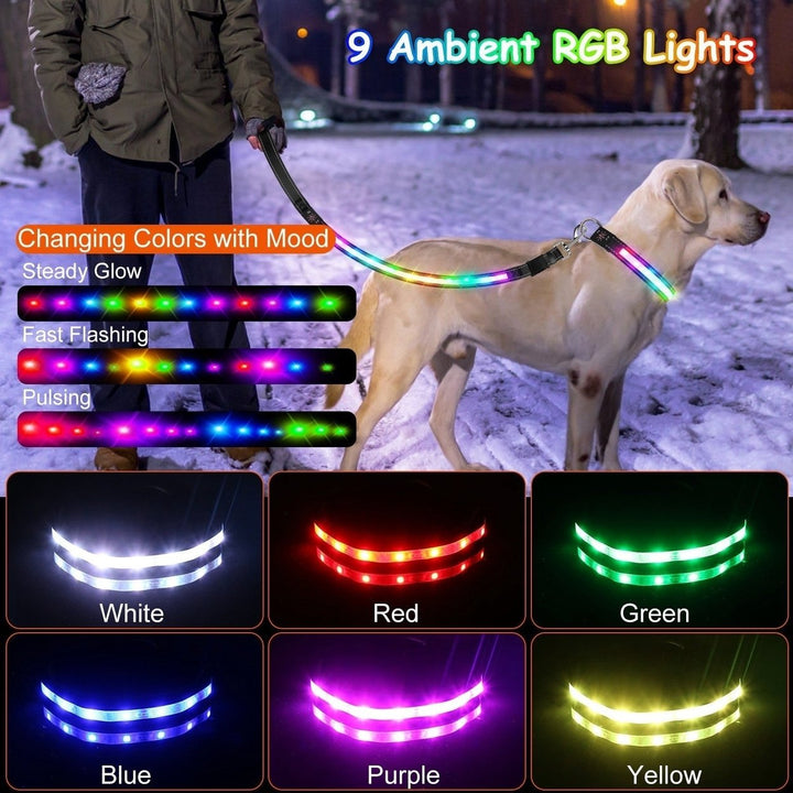 5FT Light Up Dog Leash LED Dog Leash Dog Walking Leash with 9 Light Colors IPX7 Waterproof USB Rechargeable Image 6