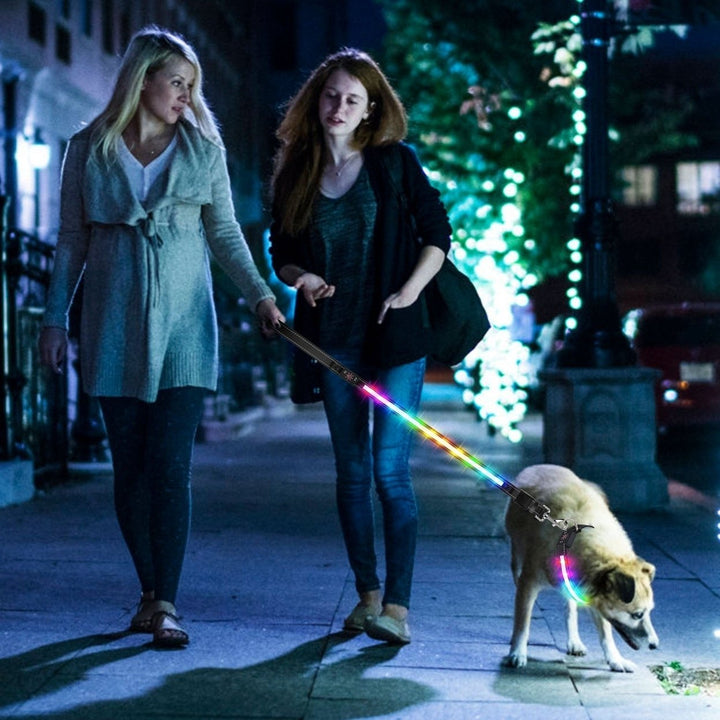 5FT Light Up Dog Leash LED Dog Leash Dog Walking Leash with 9 Light Colors IPX7 Waterproof USB Rechargeable Image 9