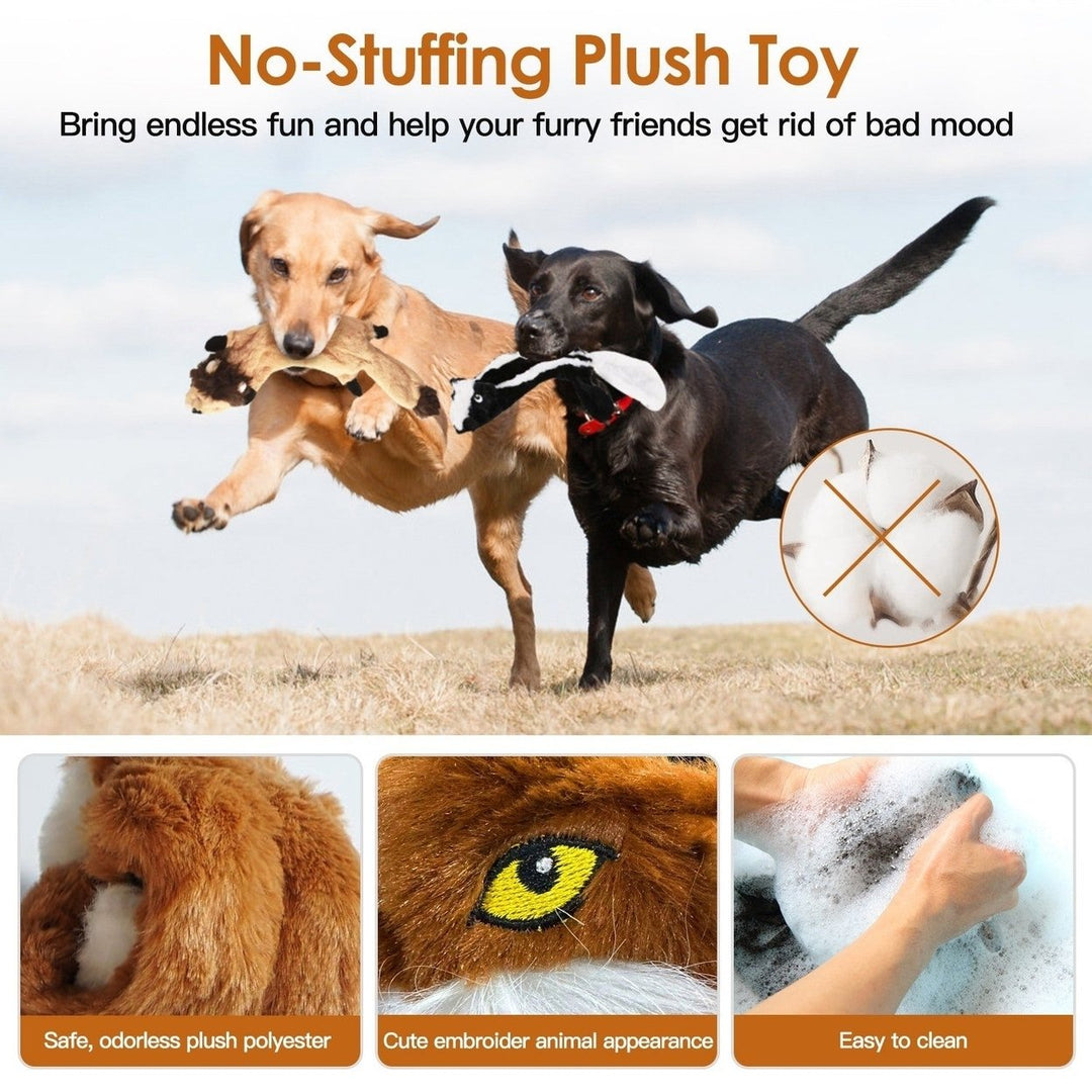 5Pcs Multi Color Squeaky No Stuffing Dog Toys With Squeaky Balls Dog Teething Training Interactive Dog Toys for Image 3