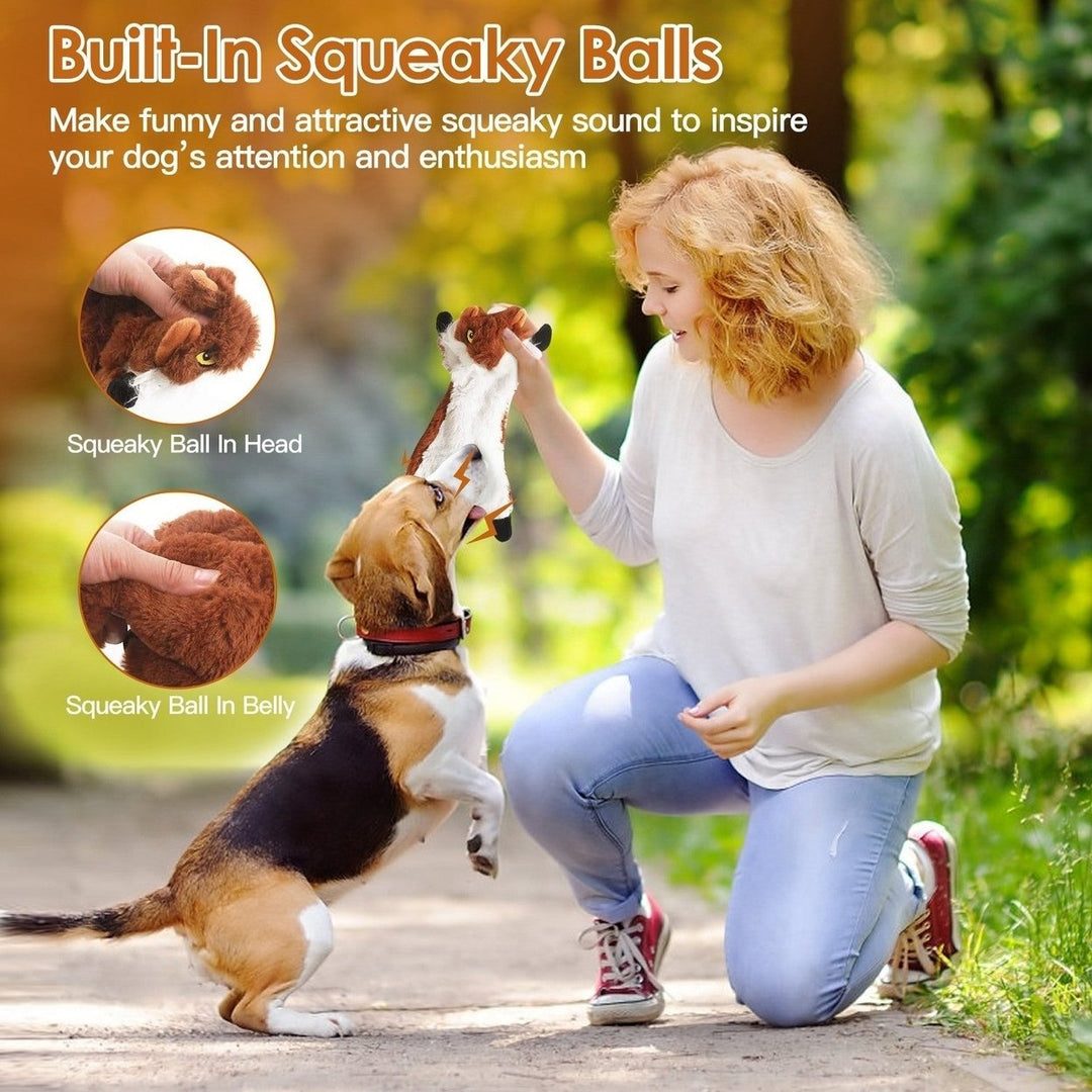 5Pcs Multi Color Squeaky No Stuffing Dog Toys With Squeaky Balls Dog Teething Training Interactive Dog Toys for Image 4