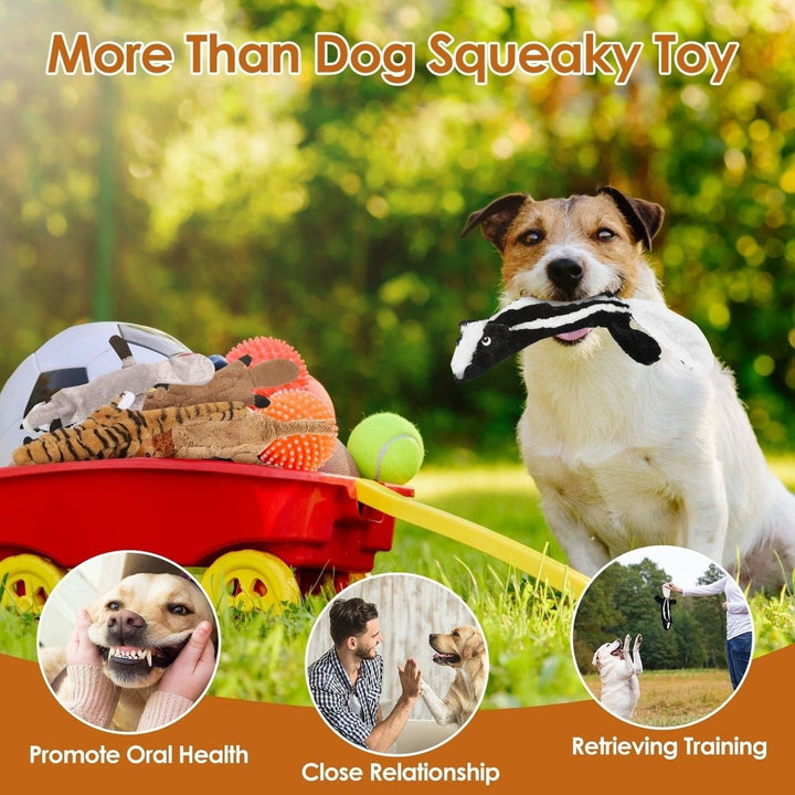 5Pcs Multi Color Squeaky No Stuffing Dog Toys With Squeaky Balls Dog Teething Training Interactive Dog Toys for Image 4