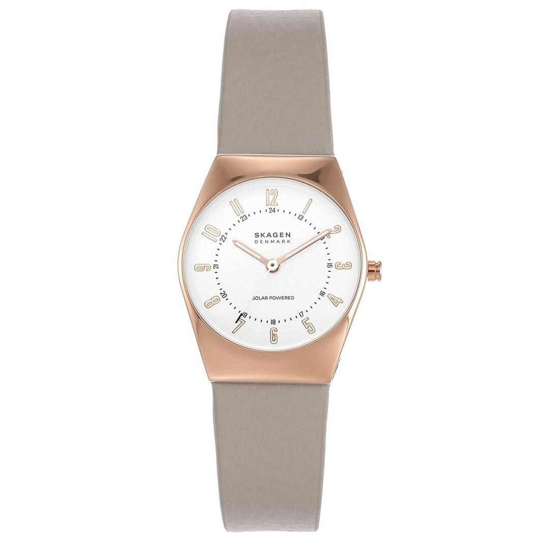 Skagen Womens Lille SKW3079 Silver Dial Stainless Steel Leather Strap Watch Image 1