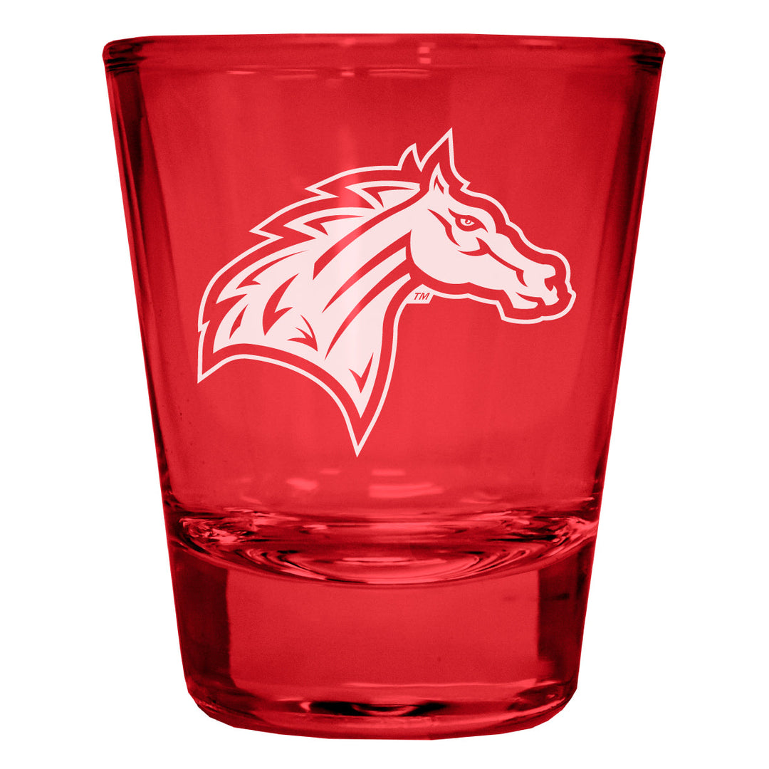 Rider University Broncs Engraved Full Color 2oz Shot Glass Officially Licensed Collegiate Product Image 2