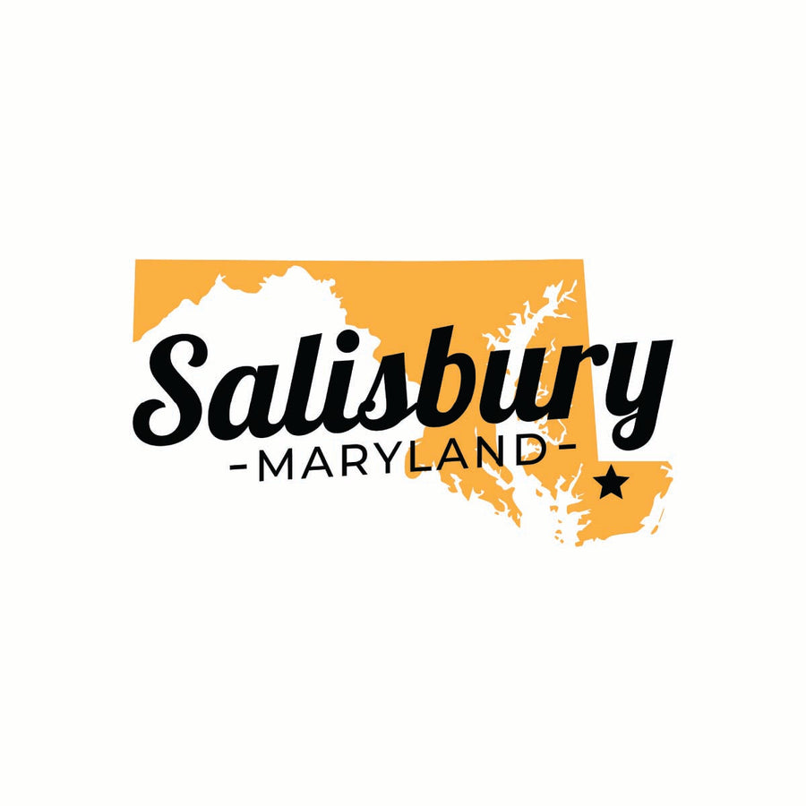 Salisbury Maryland State Shape Design Souvenir Coaster Paper 4 Pack Image 1