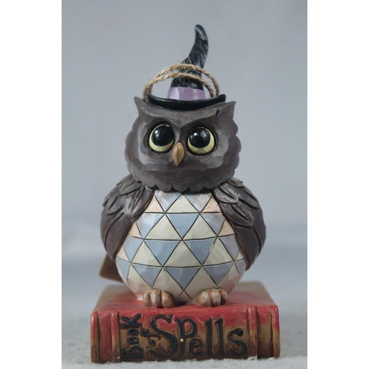 Jim Shore Halloween Hoot 2023 Pint Size Halloween Owl 6012749 In Box Image 1