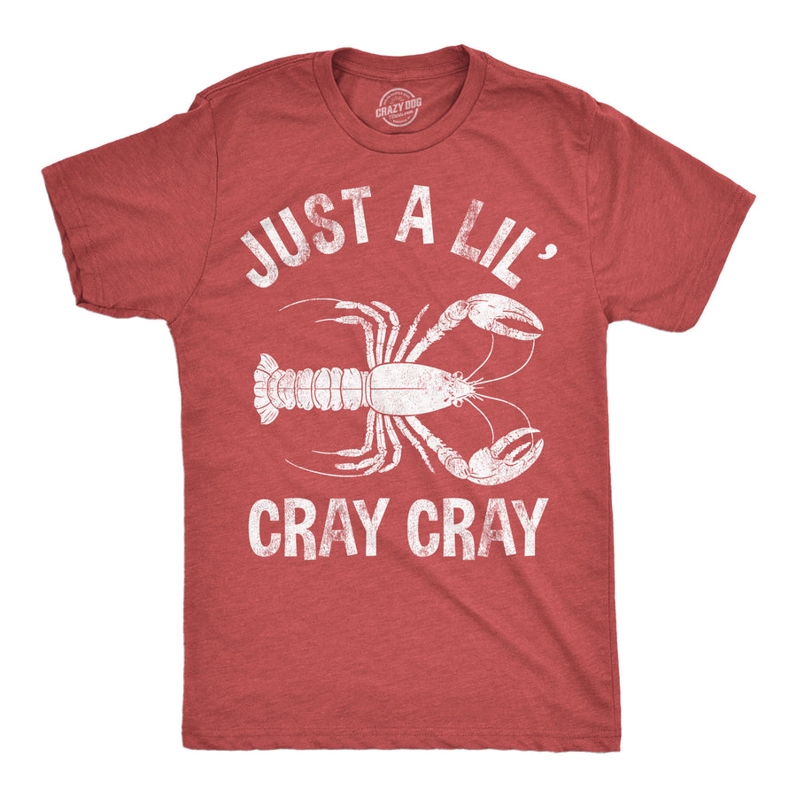 Mens Funny T Shirts Just A Lil Cray Cray Sarcastic Crayfish Graphic Novelty Tee For Men Image 1