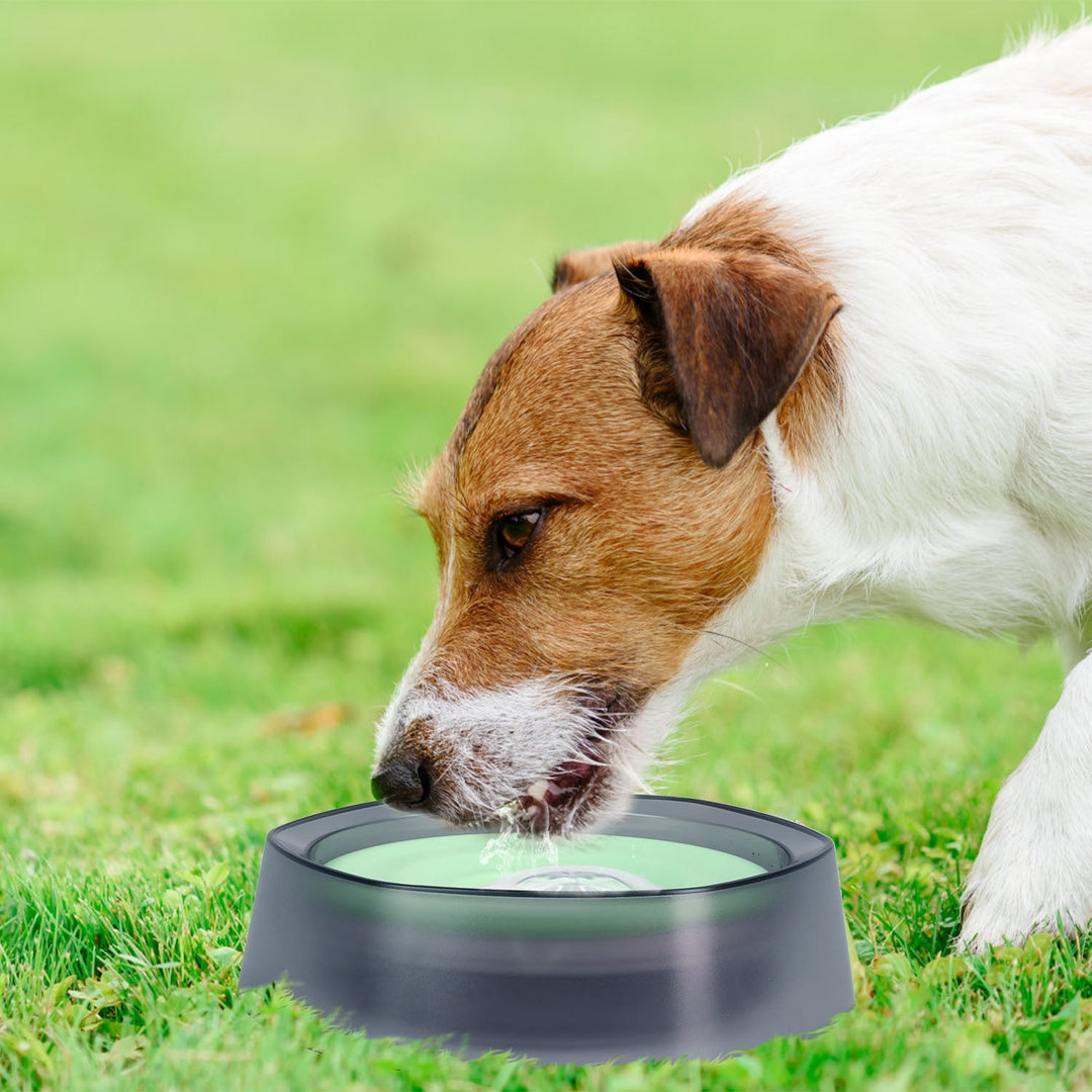 No Spill Dog Cat Water Bowl Spill Proof Slow Water Feeder 47.35oz Pet Water Dispenser Travel Dog Bowl for Dogs Cats Pets Image 4