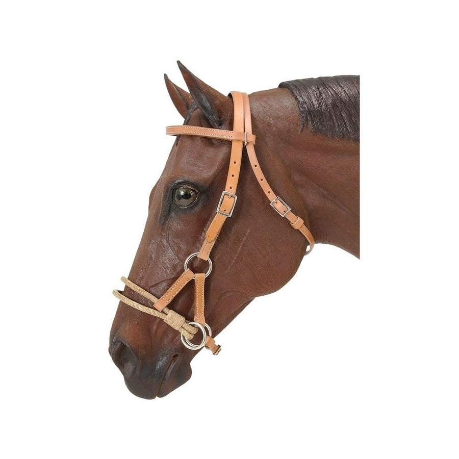 Tough 1 Headstall Royal King Rawhide Double Side Pull Oil 53-9076 Image 1