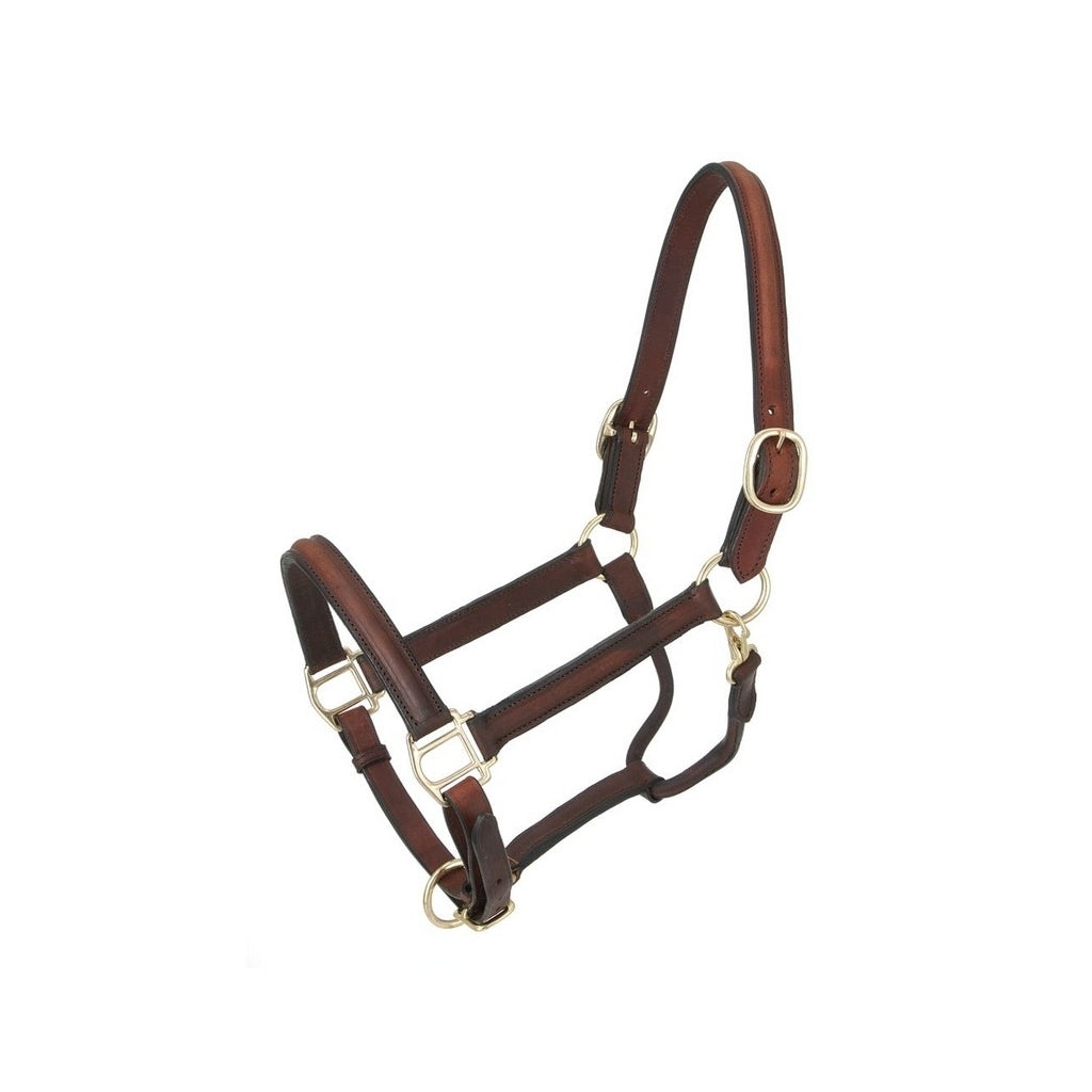 Tough 1 Halter Royal King Raised Adjustable Horse Brown 44-8045 Image 1