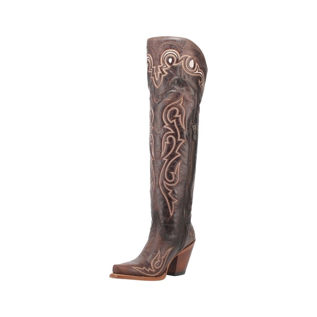 Dan Post Western Boots Womens 20" Zip Snip Toe Chocolate DP4342 Image 1