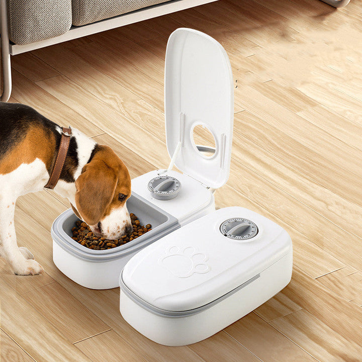 Automatic Pet Feeder Smart Food Dispenser For Cats Dogs Timer Stainless Steel Bowl Auto Dog Cat Pet Feeding Pets Image 3