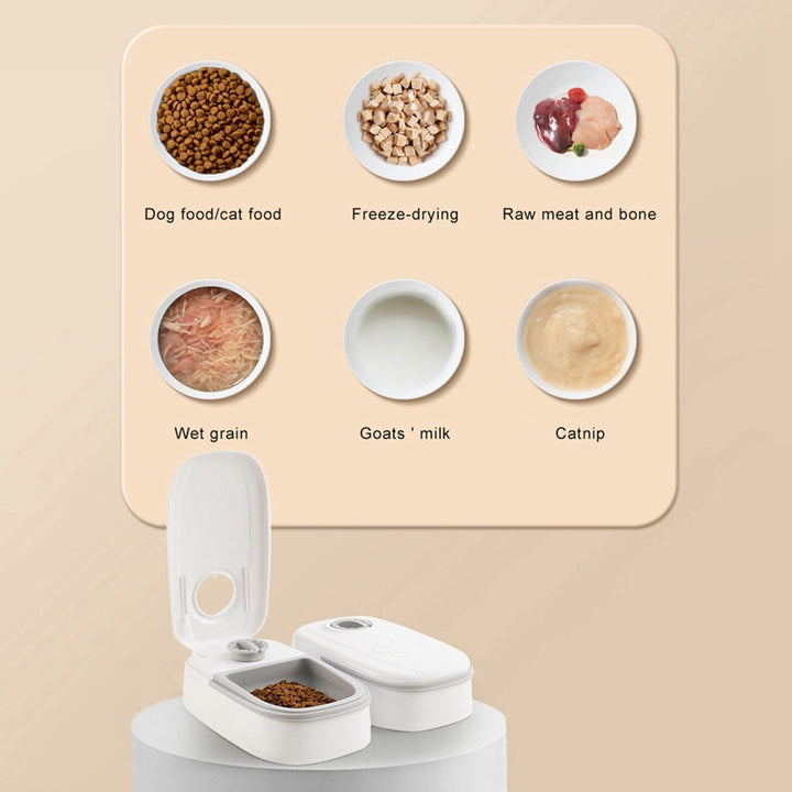 Automatic Pet Feeder Smart Food Dispenser For Cats Dogs Timer Stainless Steel Bowl Auto Dog Cat Pet Feeding Pets Image 4