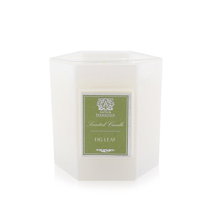 Antica Farmacista Candle - Fig Leaf 255g/9oz Image 1