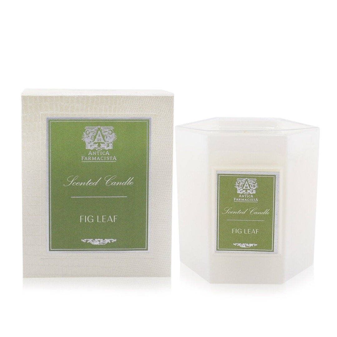 Antica Farmacista Candle - Fig Leaf 255g/9oz Image 3