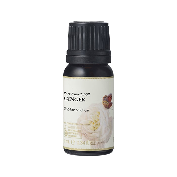 Ausganica 100% Certified Organic Essential Oil Ginger 10ml Image 1