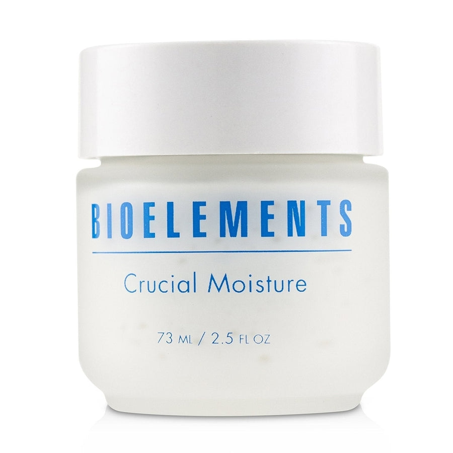 Bioelements Measured Micrograins - Gentle Buffing Facial Scrub (For All Skin Types) TH116 73ml/2.5oz Image 1