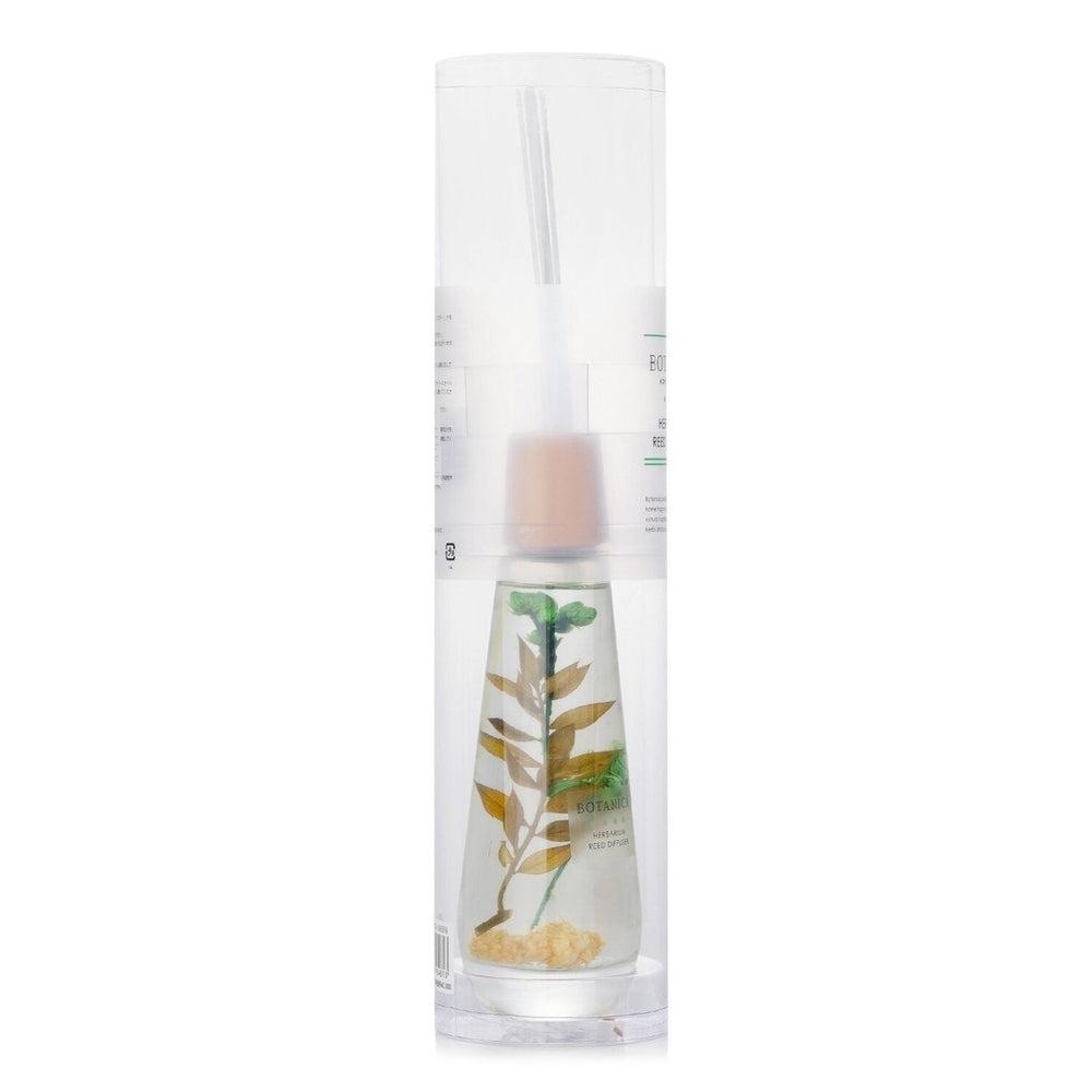 Botanica Home Fragrance Herbarium Reed Diffuser - Green 140ml/4.73oz Image 2