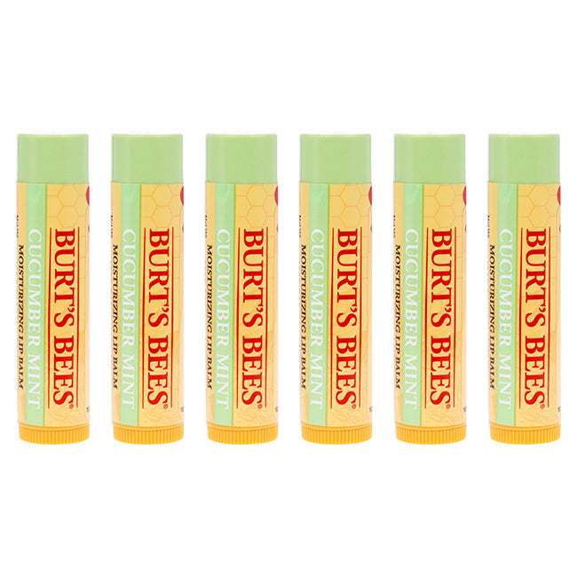 Burts Bees Cucumber Mint Moisturizing Lip Balm by Burts Bees for Women - 0.15 oz Lip Balm - Pack of 6 Image 1