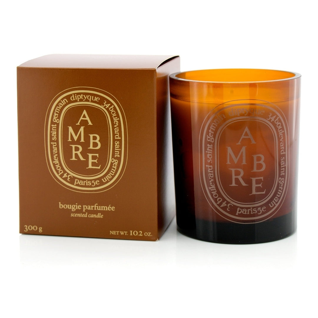 Diptyque Scented Candle - Ambre (Amber) 190g/6.5oz Image 11