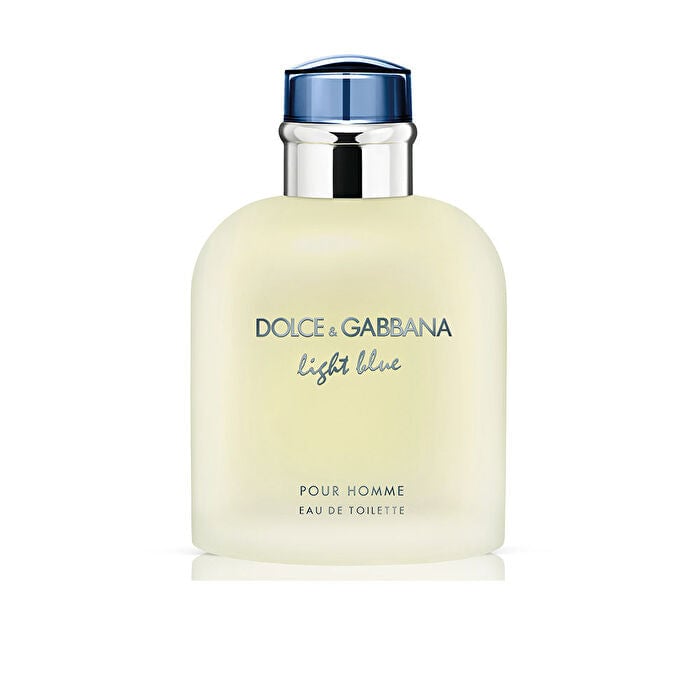 Dolce and Gabbana LIGHT BLUE POUR HOMME edt vapo 125 ml Image 1