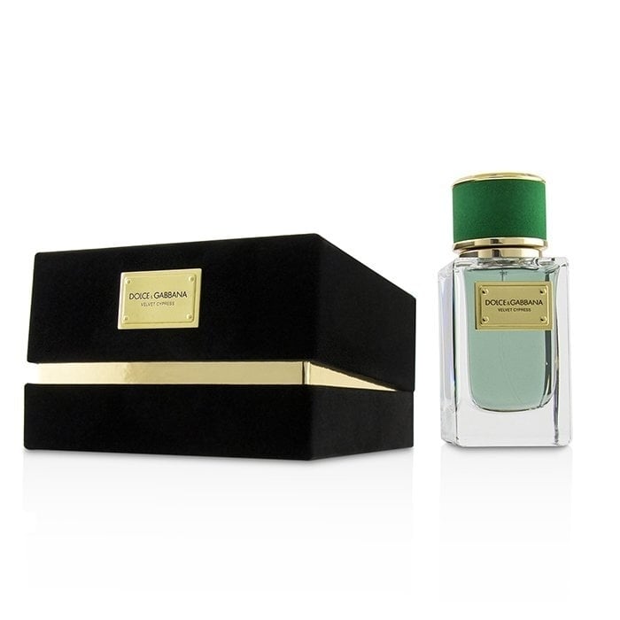 Dolce and Gabbana Velvet Cypress Eau De Parfum Spray 50ml/1.7oz Image 1