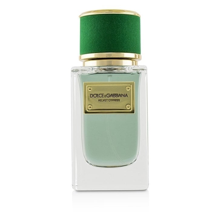 Dolce and Gabbana Velvet Cypress Eau De Parfum Spray 50ml/1.7oz Image 2