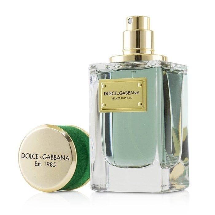 Dolce and Gabbana Velvet Cypress Eau De Parfum Spray 50ml/1.7oz Image 3