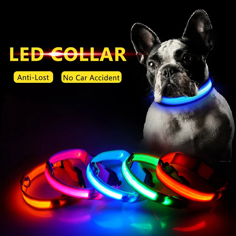 Led Dog Collar Anti-Lost Collar Image 1