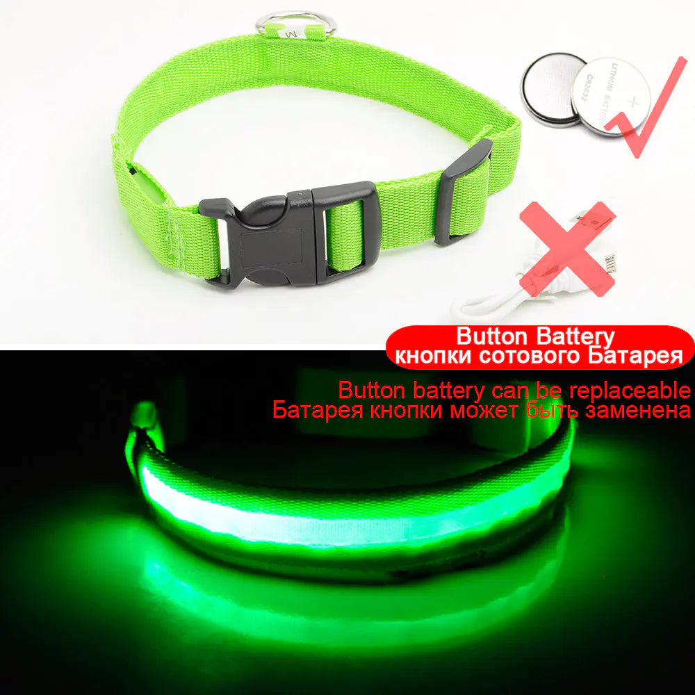 Led Dog Collar Anti-Lost Collar Image 2