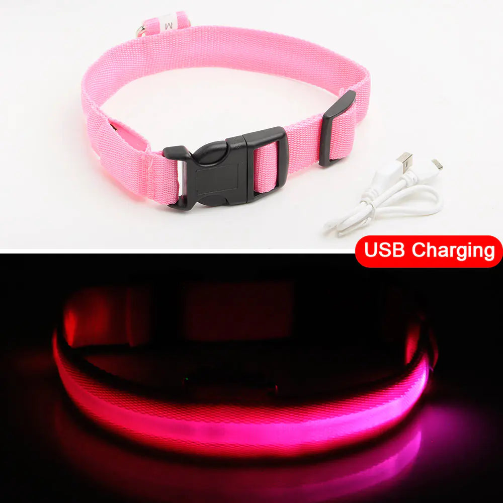 Led Dog Collar Anti-Lost Collar Image 4