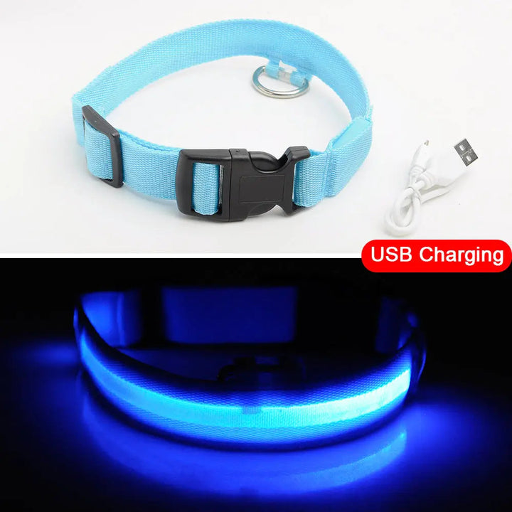 Led Dog Collar Anti-Lost Collar Image 4