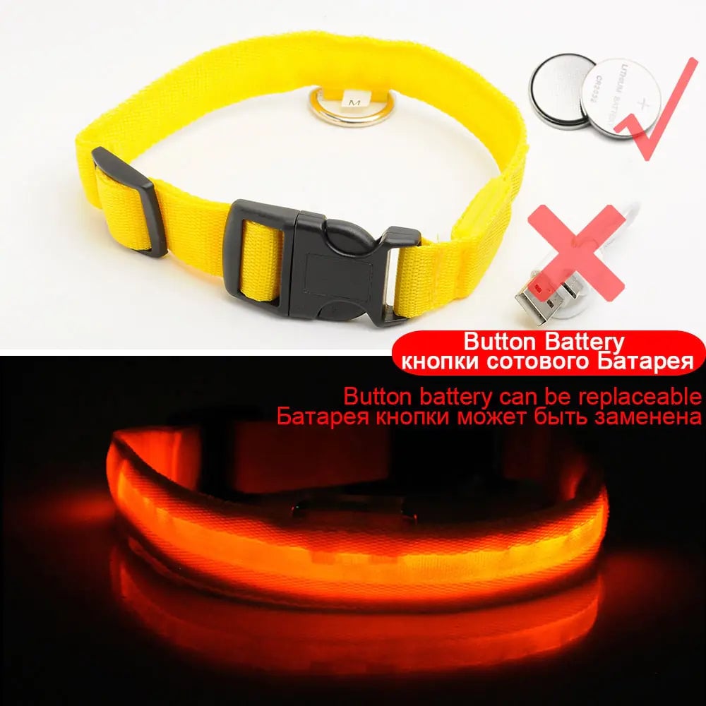 Led Dog Collar Anti-Lost Collar Image 1