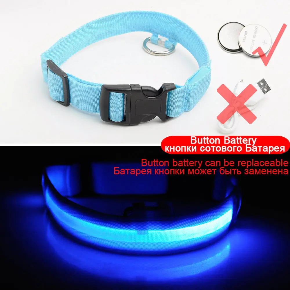 Led Dog Collar Anti-Lost Collar Image 7