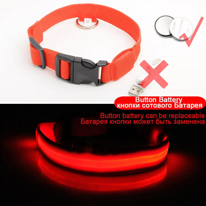 Led Dog Collar Anti-Lost Collar Image 8