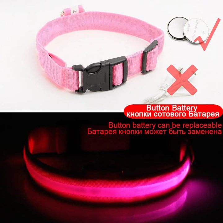 Led Dog Collar Anti-Lost Collar Image 9